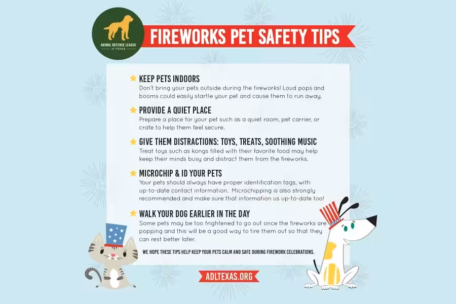 fireworks and pets
