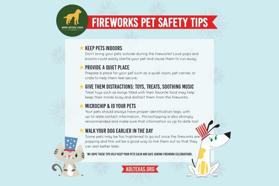 fireworks and pets