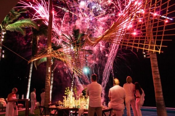party fireworks